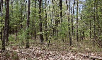 5826 S Morrison Rd, Alger, MI 48610