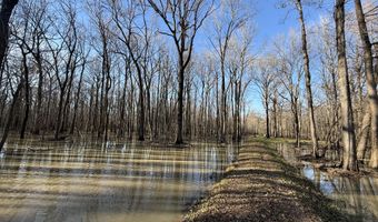 Gun Baoyu Road, Belzoni, MS 39038