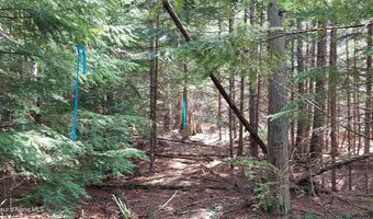 NKA Wandering Wolf Ridge Lot 3, Clark Fork, ID 83811