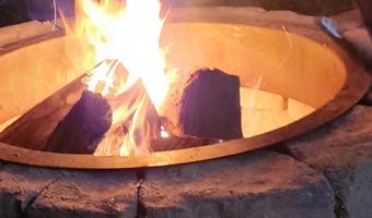 3164 Trent Hatchery Rd, Appomattox, VA 24522