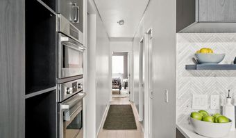 450 S Original St 8, Aspen, CO 81611