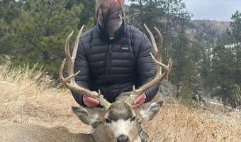 Old Flowers Rd, Bellvue, CO 80512