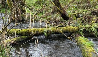 39402 NE 211TH Ave, Amboy, WA 98601