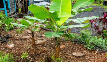 16-1493 39TH Ave, Keaau, HI 96749