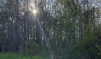 Fox Ridge 1-A Lane, Allenton, MI 48002