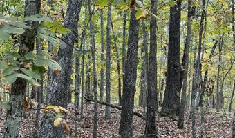 County Road 113 lot 3, Alton, MO 65606