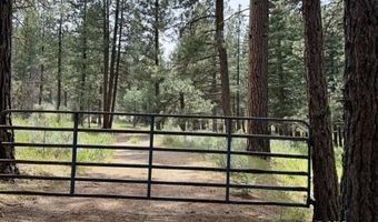 Cedar Way, Alturas, CA 96101
