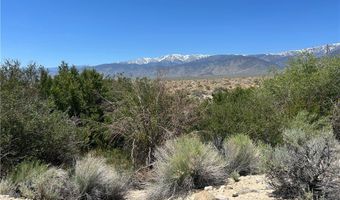 360 MOUNTAIN CREEK Rd, Dyer, NV 89010