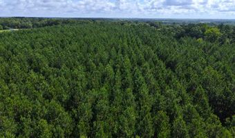 840 County Road 33, Ashford, AL 36312