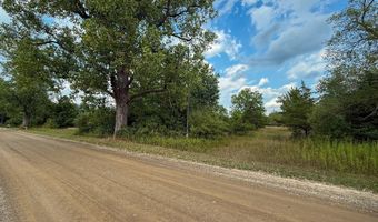 39 Acres N Pingree Rd, Alma, MI 48801