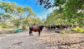 CR 119, Alice, TX 78332