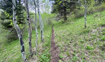 400 GROVER DRY FARM Rd, Afton, WY 83110