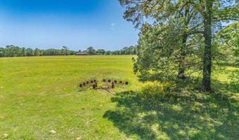 Tbd TBD RS County Road 2365, Alba, TX 75410
