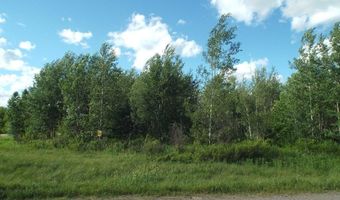 80 Acre HWY 32, Argonne, WI 54511