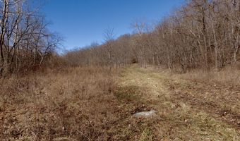 000 County Road U-105A, Ava, MO 65608