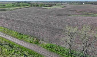 Vine Avenue, Ainsworth, IA 52201