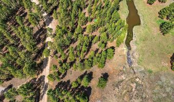 841 Beaver Creek Dr, Bayfield, CO 81122