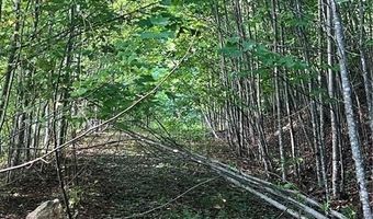 172 Hump View Trl, Banner Elk, NC 28604