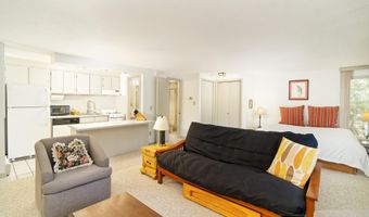 935 E Hopkins Ave 6, Aspen, CO 81611