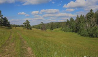 387 OLD CAMP Rd, Bellvue, CO 80512