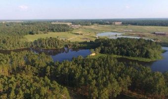 221 W 1st St, Arabi, GA 31712