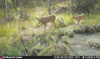 Tract A, Anaconda, MT 59711