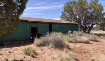 22 COUNTY ROAD N9151, Concho, AZ 85924