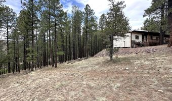 29 27 N 2058, Alpine, AZ 85920