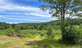 0 Woodland Hills Rd, Andes, NY 13731