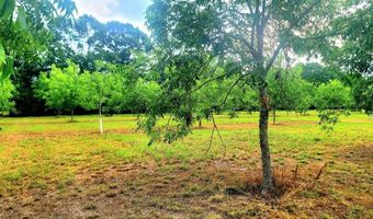 00 Sweat Rd, Alma, GA 31510