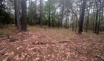 UNIT # 263B KIAMICHI WILDERNESS RD Unit # 63 63, Antlers, OK 74523
