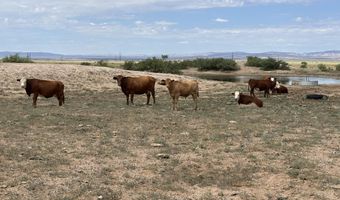Greer Road, Belen, NM 87002
