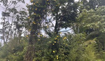 RAILRD RD, Keaau, HI 96749