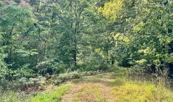 90 Mitchell Rd, Batesville, AR 72501