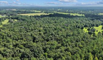 NW 218TH LANE, Alachua, FL 32615