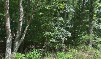 Lot 1 & 2 Rt. 1 Muddy Creek Mountain, Alderson, WV 24910
