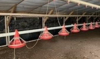 12911 TRUSSUM POND Rd, Laurel, DE 19956