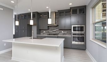 413 Lady Palm St, Apopka, FL 32703