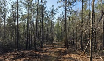 5 A Berry Ln, Beech Island, SC 29842