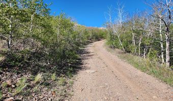 NHN Alpha Lode & Alpha Fraction Lode Alpha Trail, Anaconda, MT 59711