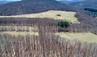 Lot 2 Doig Hollow Road, Andes, NY 13731