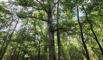 2132 Busby Trl, Brookhaven, MS 39601