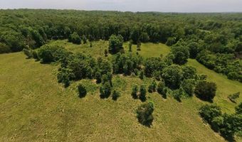 N County Road 113, Alton, MO 65606