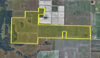 SE C & H DRIVE 339, Arcadia, FL 34266