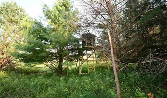 9537 LAKEVIEW, Alanson, MI 49706