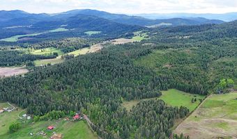25 XX BURGESS Rd, Addy, WA 99101