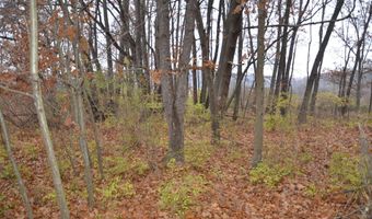 3366 Ludlow Rd, Albion, MI 49224