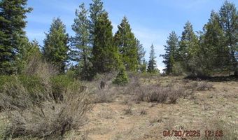 Night Owl Drive Lot 2, Bonanza, OR 97623
