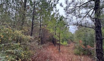 Tract # 6418 N Mattox Springs Road N1, Caryville, FL 32427