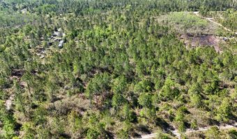 NW Miller Road, Altha, FL 32421